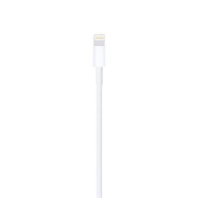 Apple Lightning To USB A Cable - Image 3